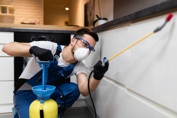 Best Affordable Pest Control Services  in Batavia, OH