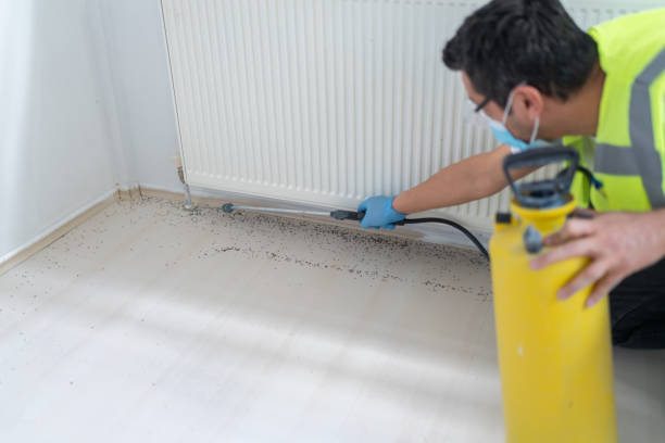 Best Flea Control Services  in Batavia, OH